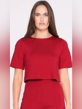 RIPLEY RADER Ponte Knit Short Sleeve Top Size 2